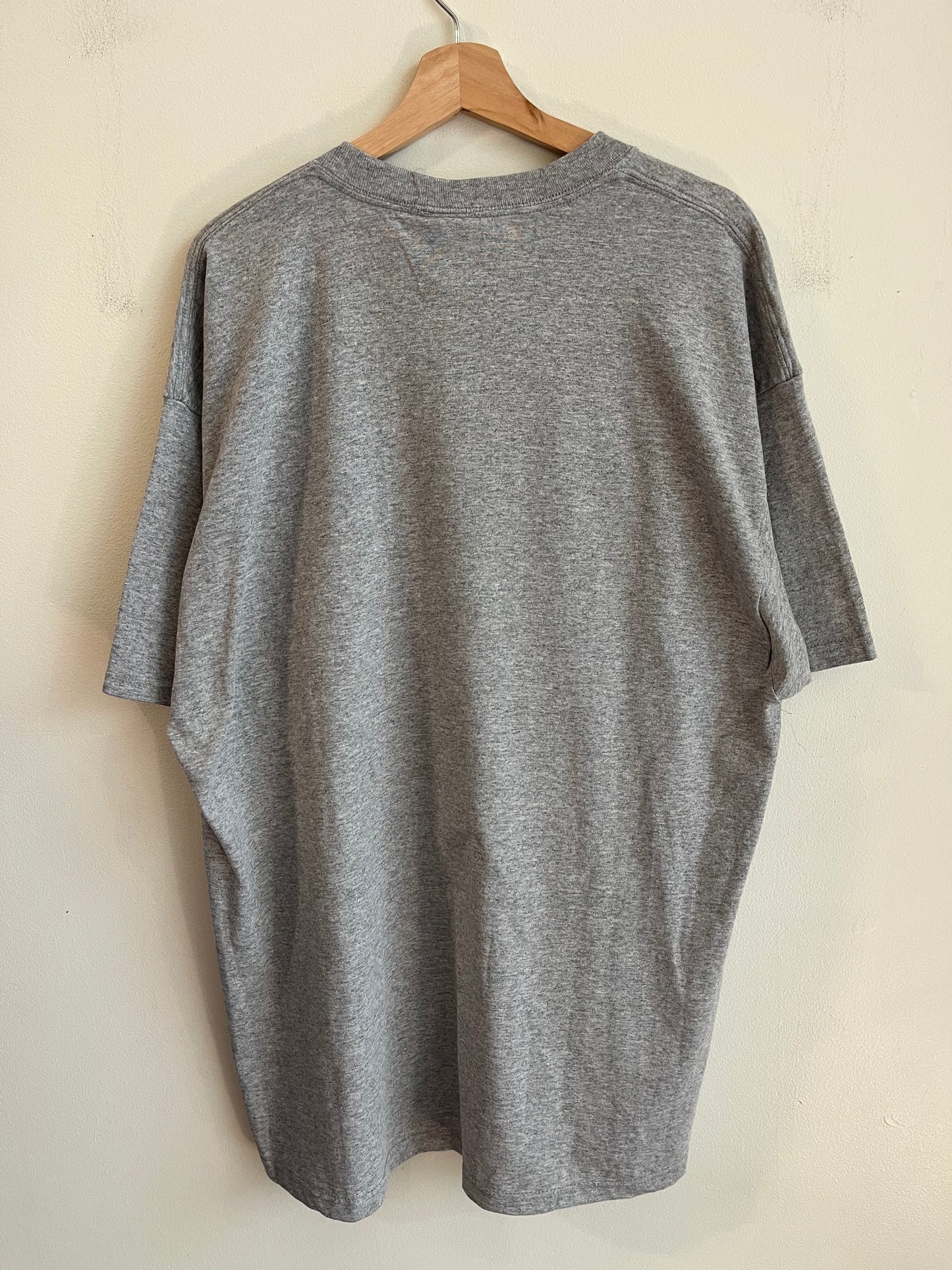 2004 Patriots v Panthers Grey Deadstock Super Bowl Tee (XXL)