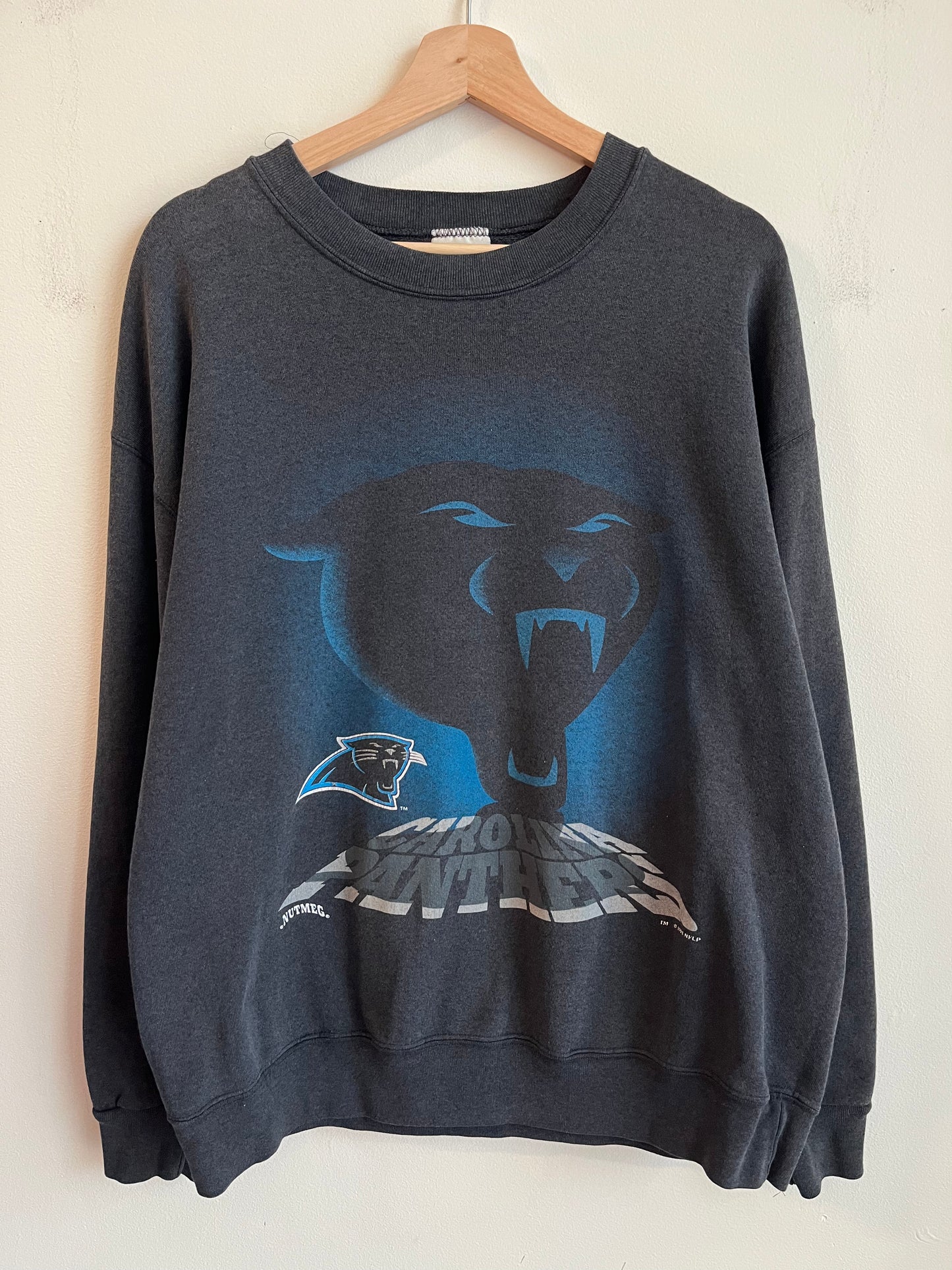 1993 Carolina Panthers Shadow Graphic Nutmeg Faded Crewneck (L)