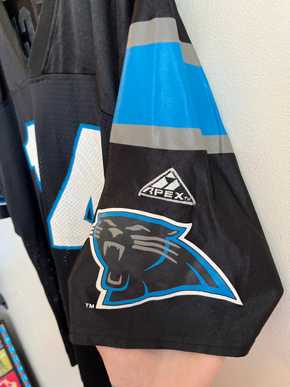 90s Carolina Panthers Apex One Frank Reich Home Jersey (L)