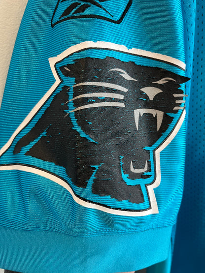 00s Carolina Panthers Jake Delhomme Stitched Electric Blue Jersey (L)