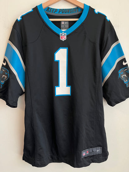 2010s Carolina Panthers Cam Newton Home Jersey (L)