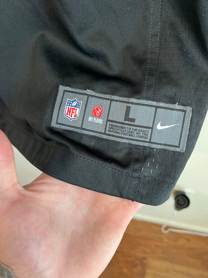 2010s Carolina Panthers Cam Newton Home Jersey (L)