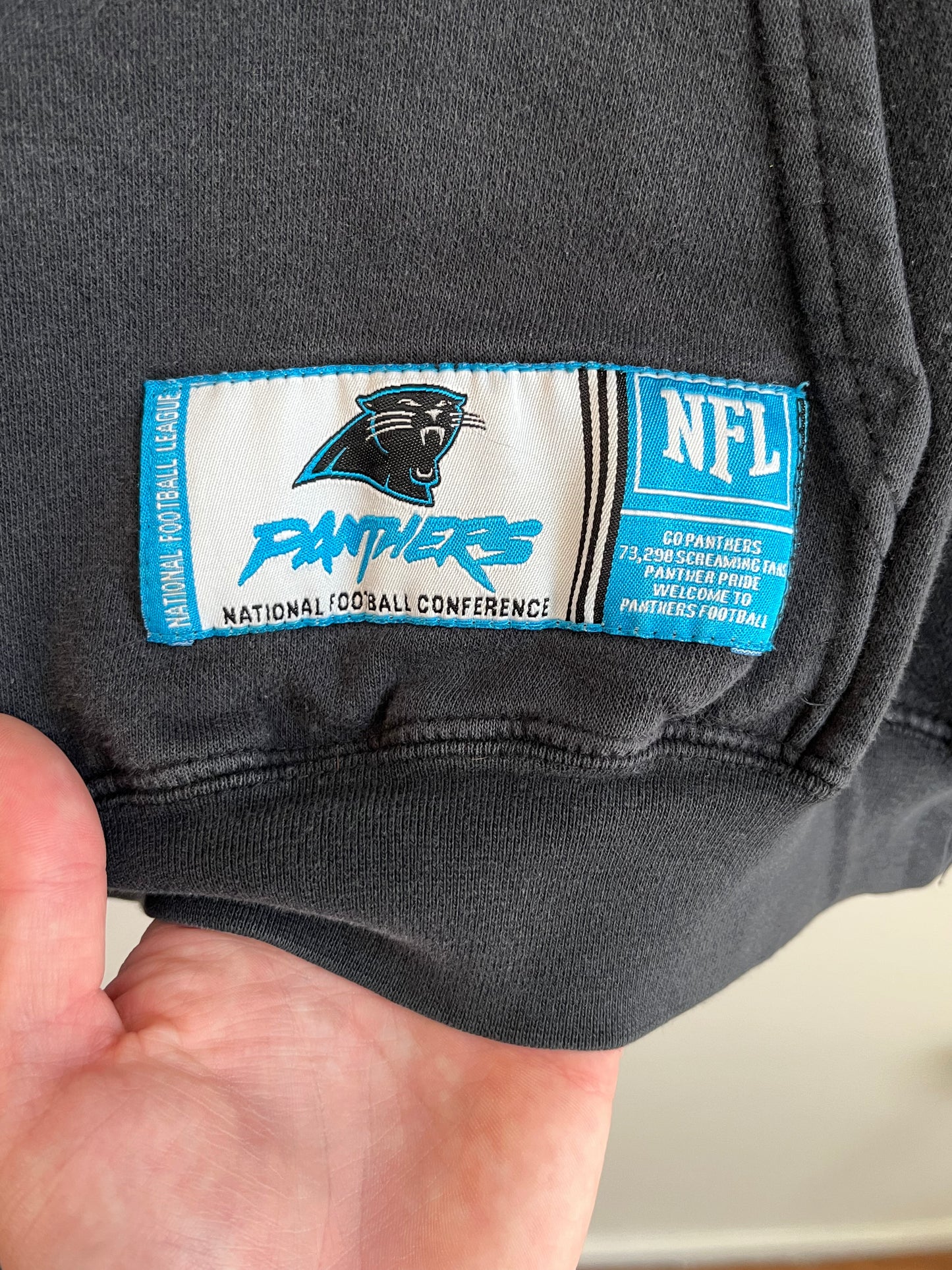 00s Carolina Panthers Cat Scratch Faded Hoodie (L)