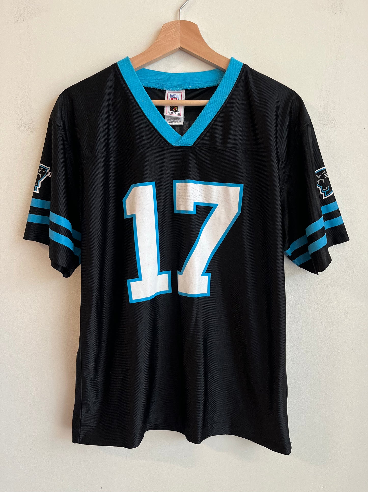 00s Carolina Panthers Jake Delhomme NFL Players Striped Jersey (Youth L)