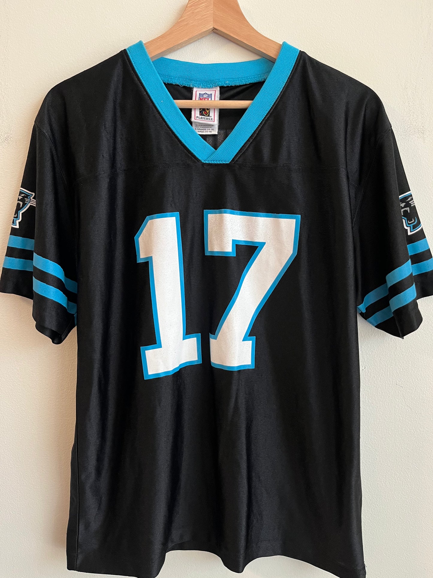 00s Carolina Panthers Jake Delhomme NFL Players Striped Jersey (Youth L)
