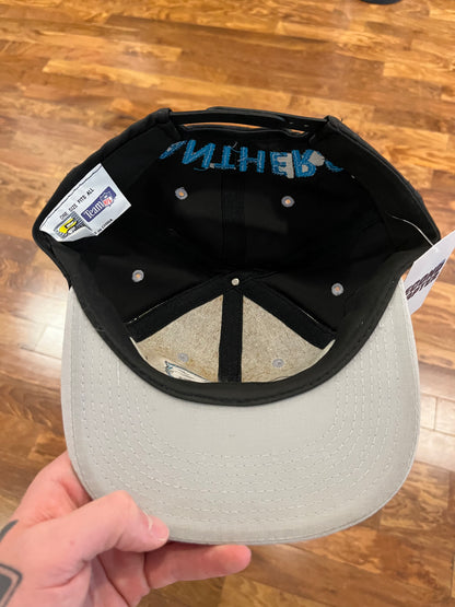 90s Carolina Panthers Center Big Logo Competitor Hat (OS)