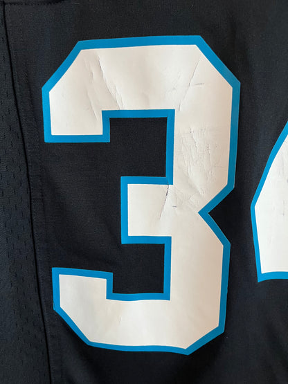 2012 Carolina Panthers DeAngelo Williams Cracked Nike Home Jersey (S)