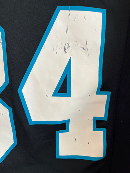 2012 Carolina Panthers DeAngelo Williams Cracked Nike Home Jersey (S)
