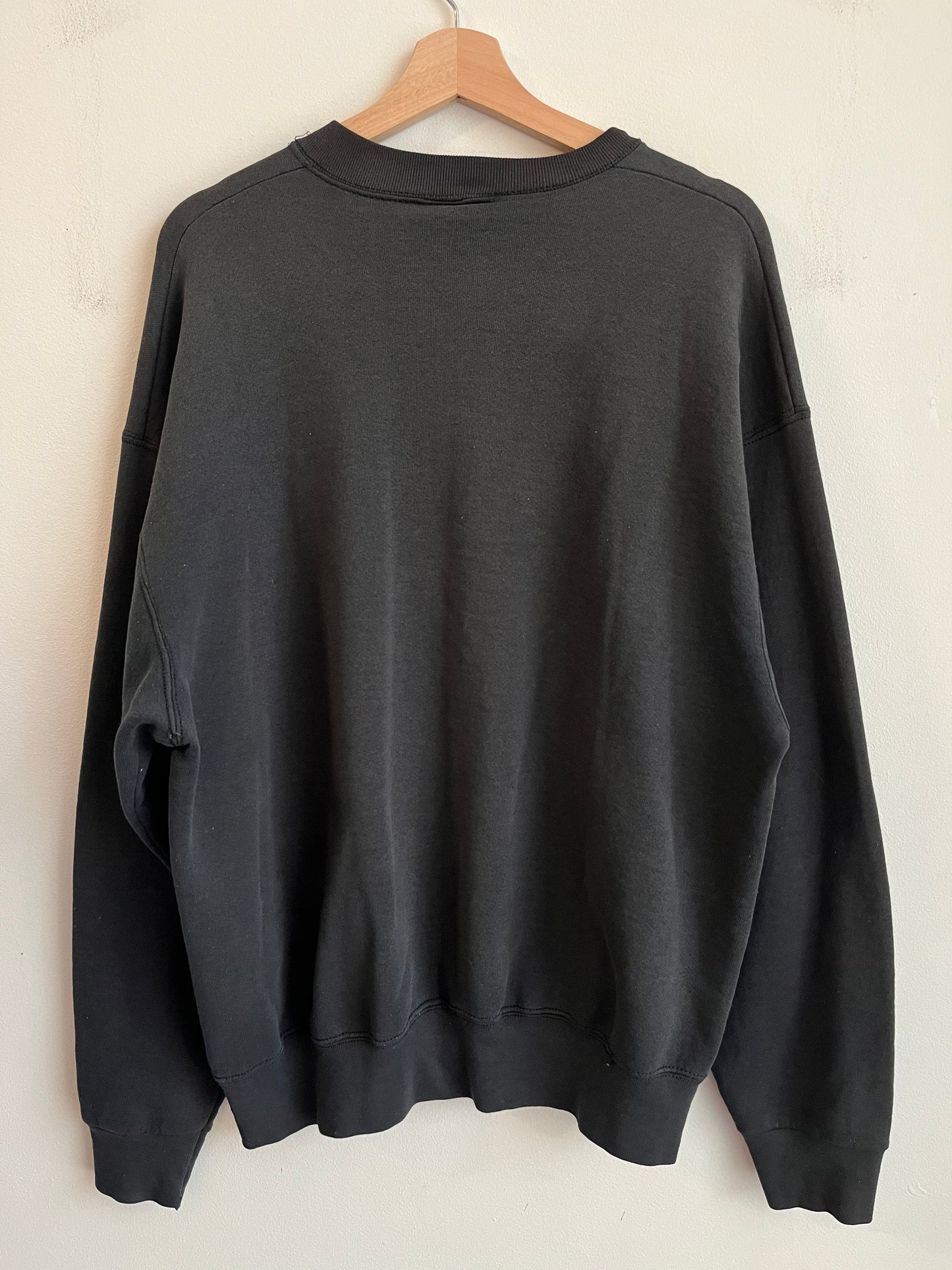 1995 Carolina Panthers Spell Out Salem Sportswear Paint Crewneck (XL)