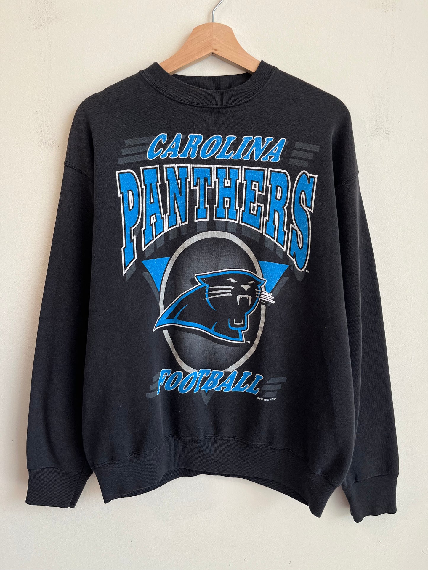 1993 Carolina Panthers Circle Spell Out Crewneck (M)