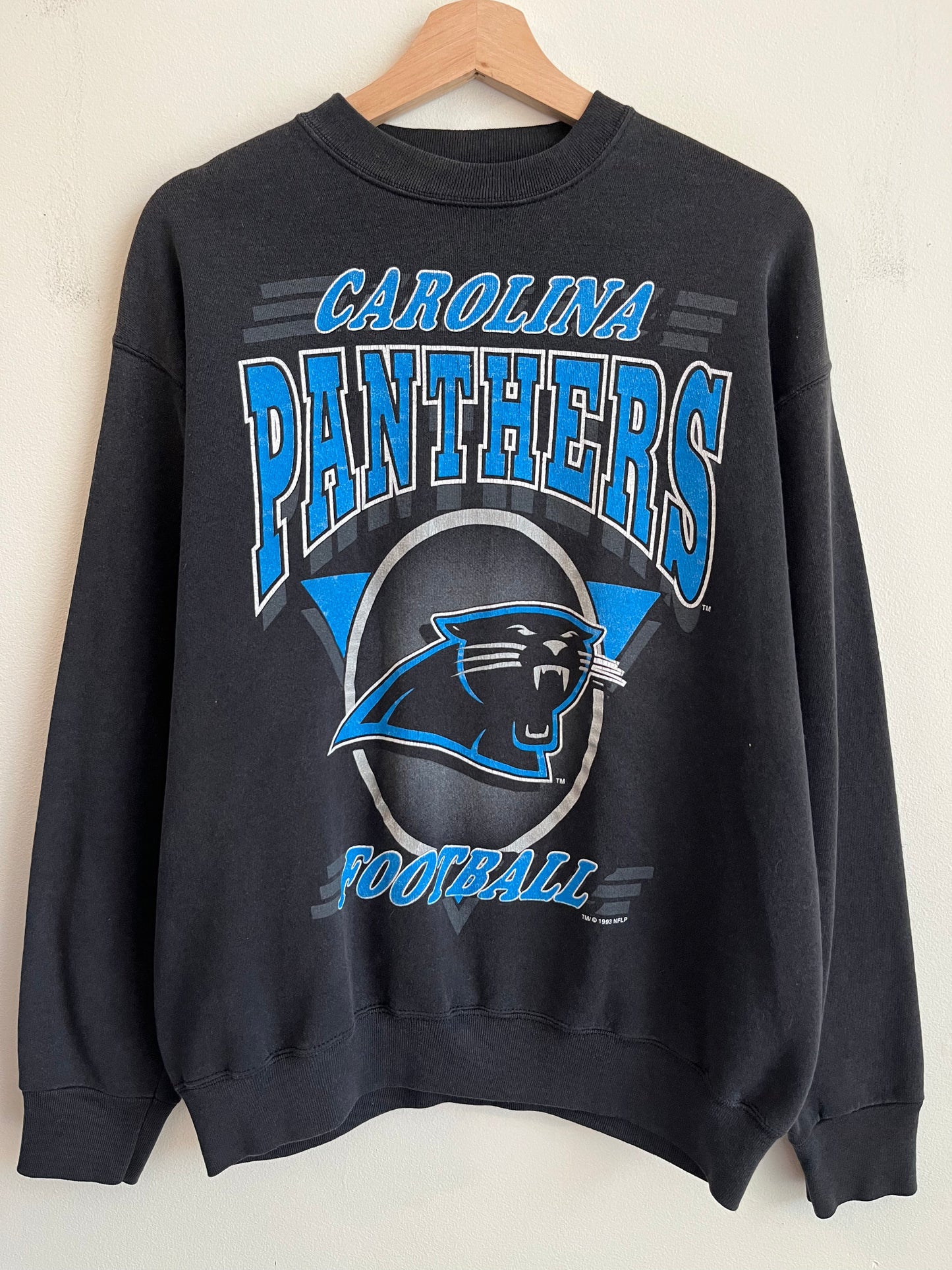 1993 Carolina Panthers Circle Spell Out Crewneck (M)