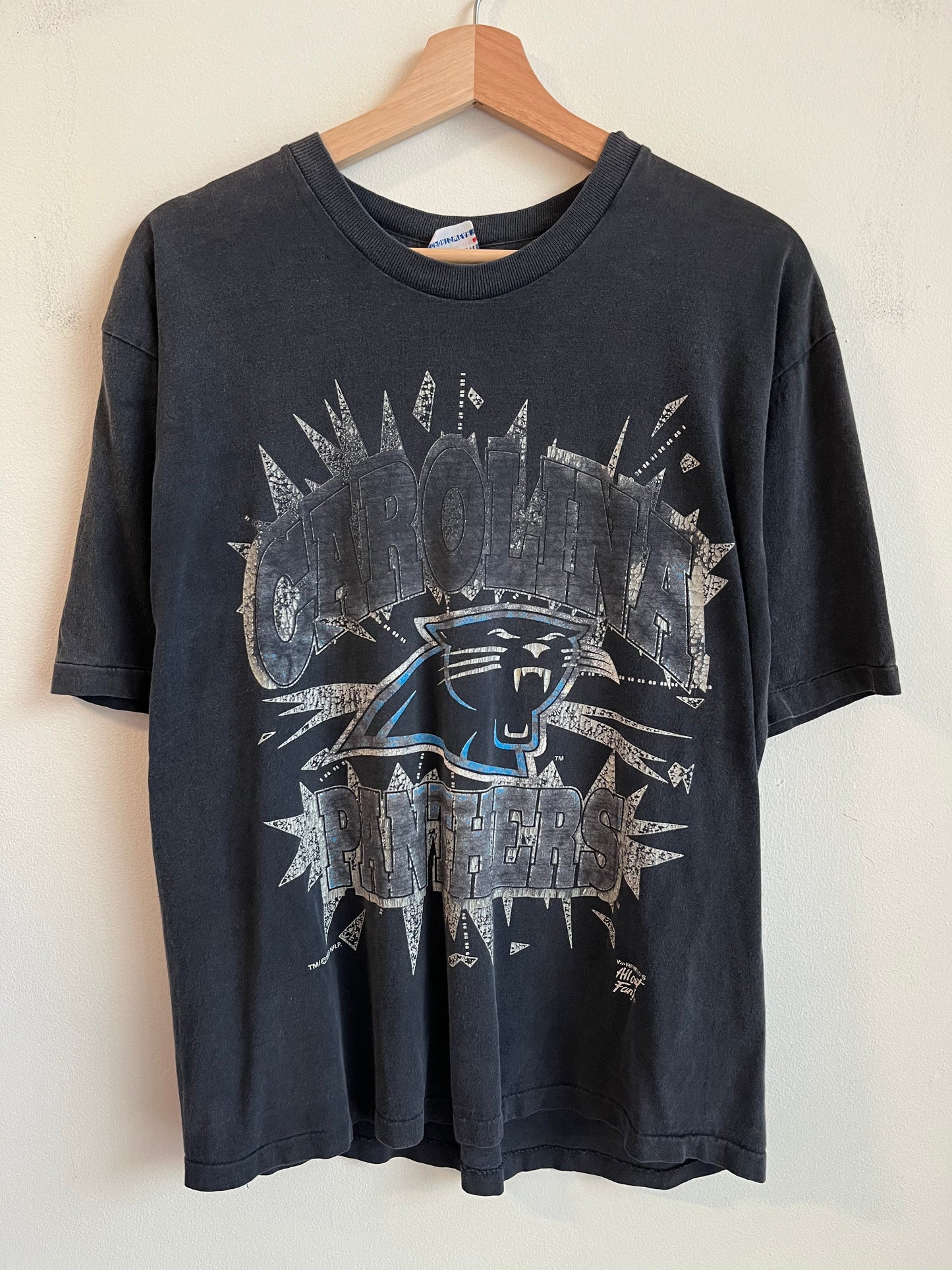 1993 Carolina Panthers Faded Warfield Shattered Graphic Tee (L)