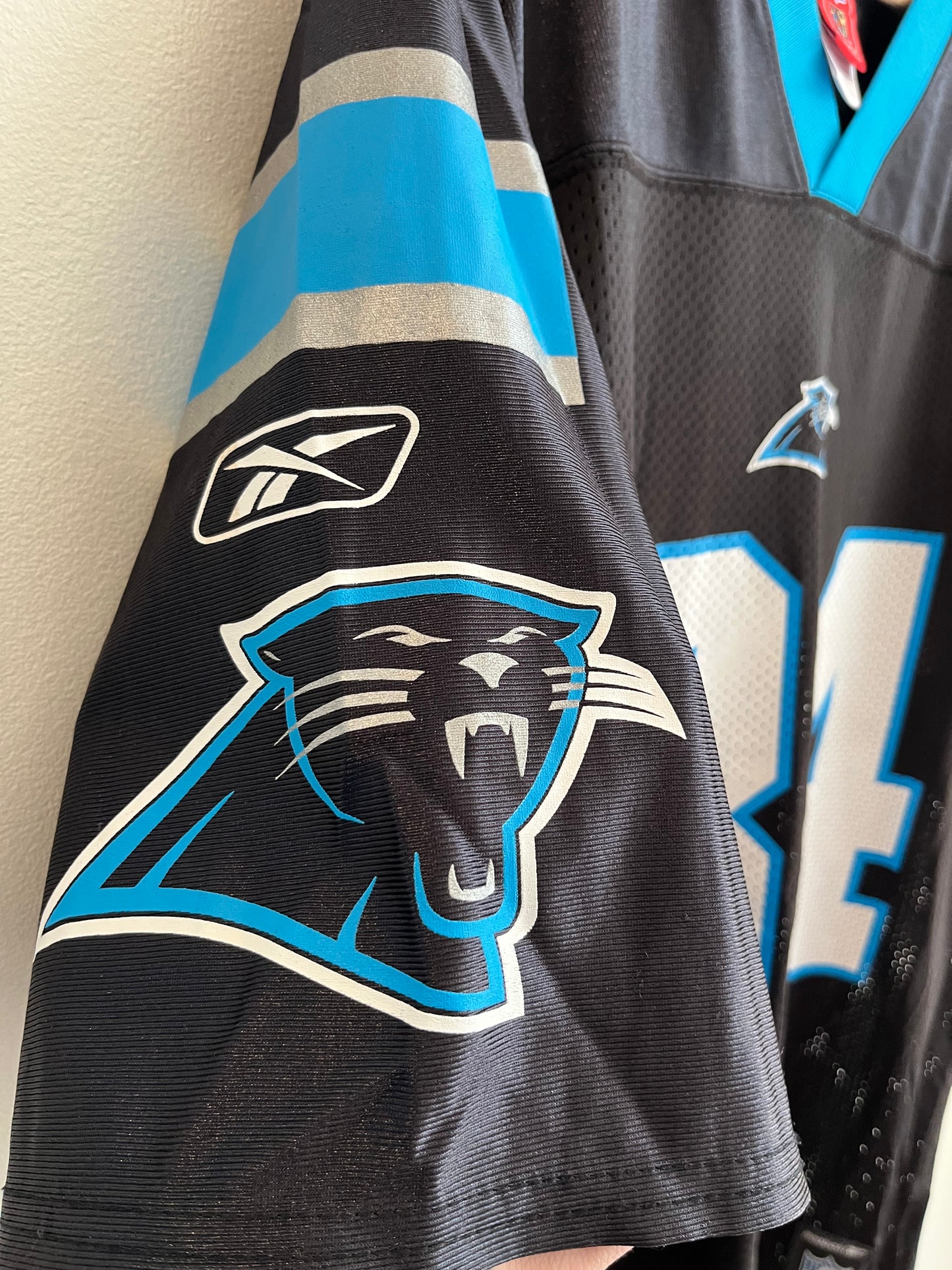 00s Carolina Panthers DeAngelo Williams NFL Players Home Jersey (M)