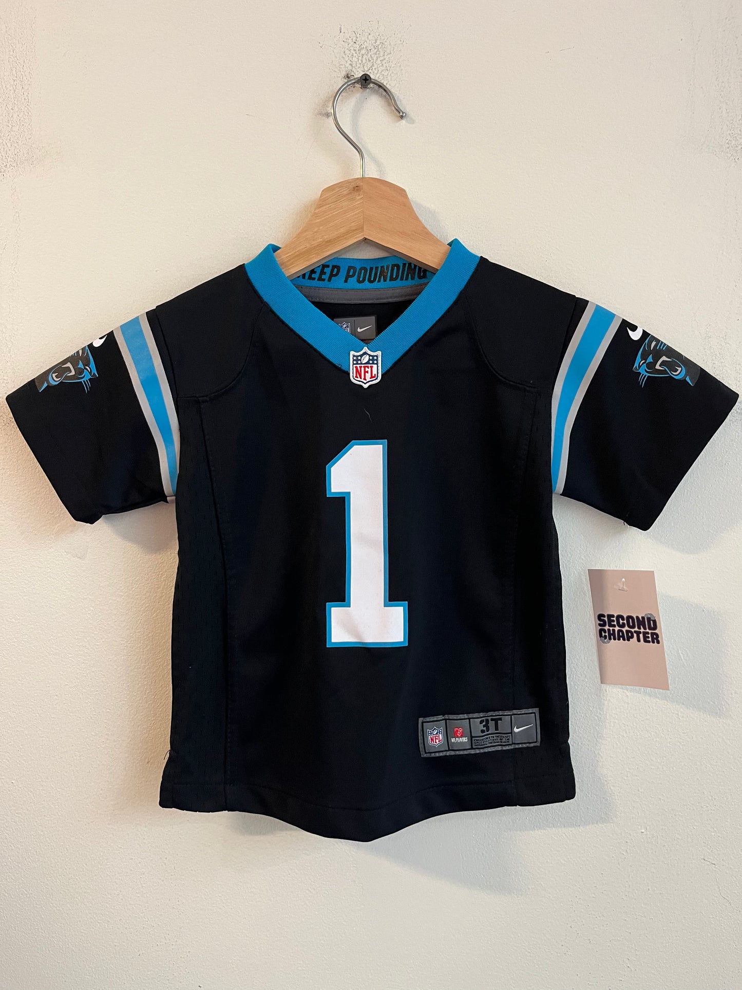 2016 Carolina Panthers Cam Newton Jersey (3T)
