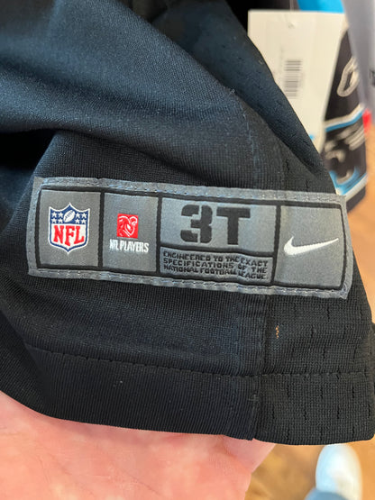 2016 Carolina Panthers Cam Newton Jersey (3T)