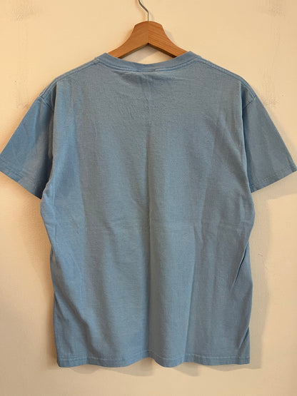 00s Carolina Panthers Jake Delhomme Baby Blue Tee (M)