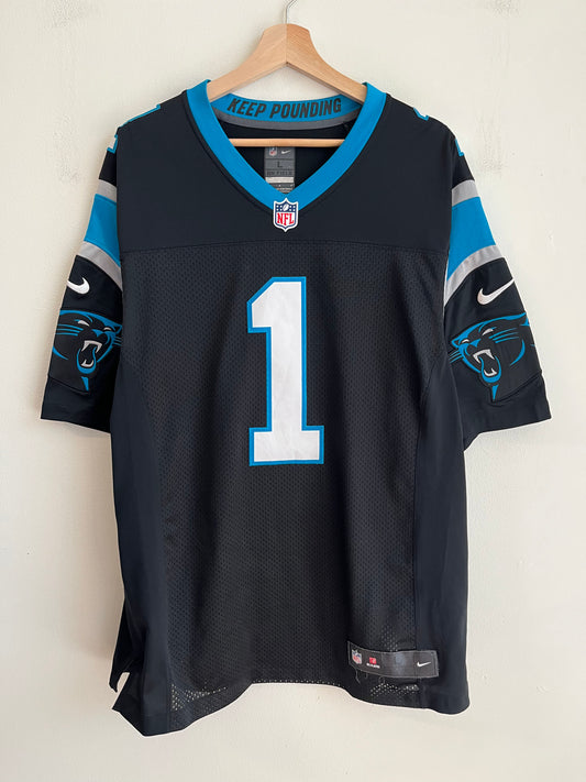 2013 Carolina Panthers Cam Newton Stitched Nike Home Jersey (L)