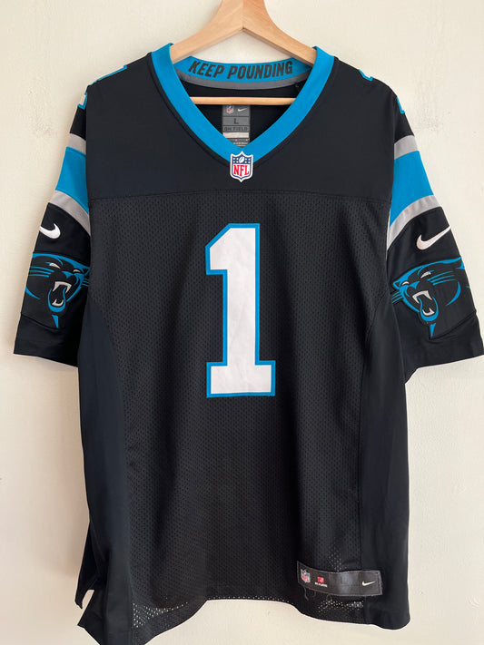 2013 Carolina Panthers Cam Newton Stitched Nike Home Jersey (L)