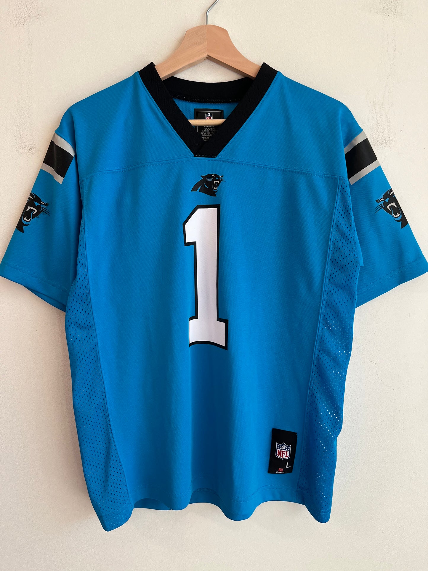 2010s Carolina Panthers Cam Newton NFL Team Blue Jersey (Youth L)