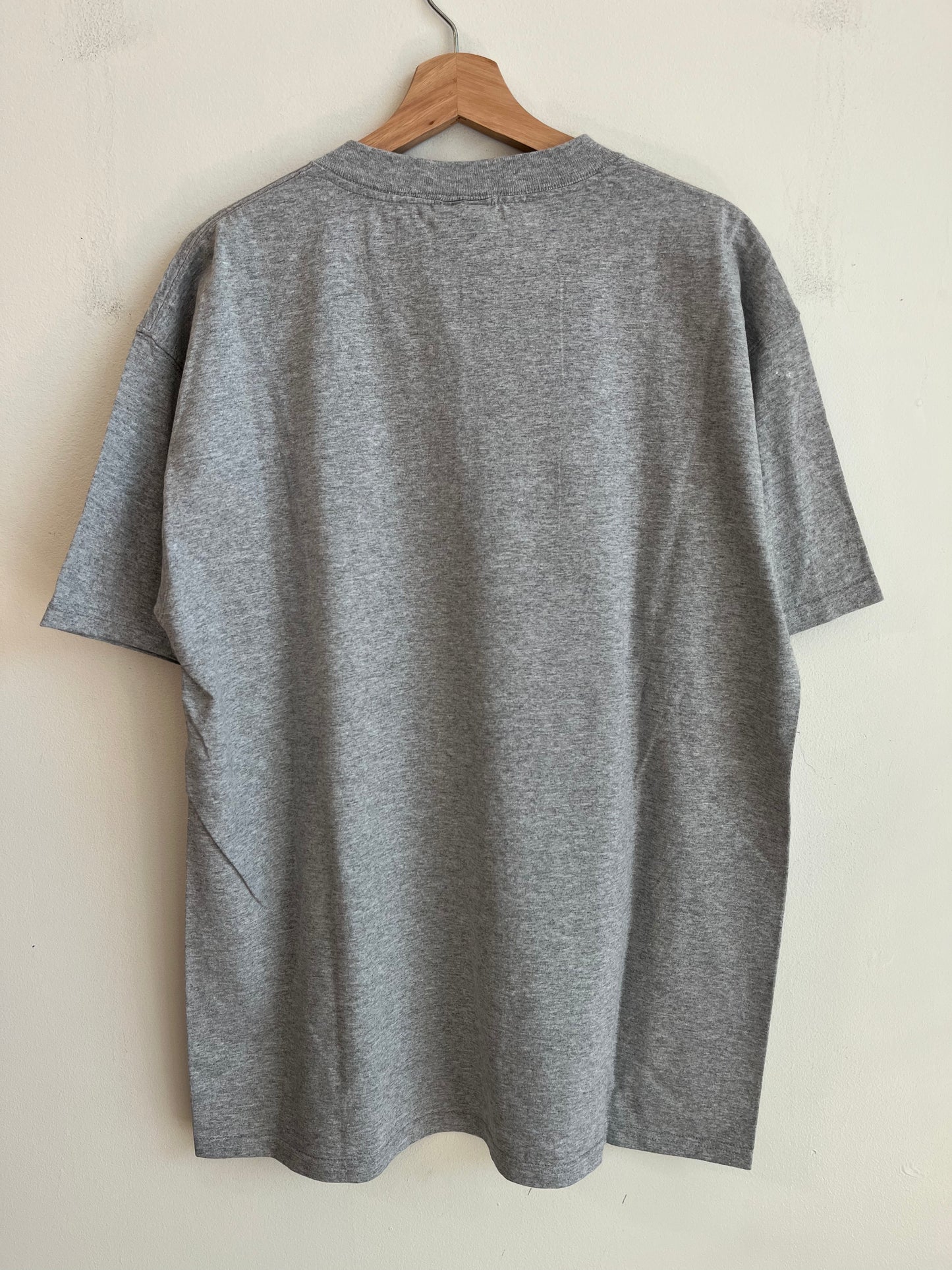 2004 Carolina Panthers Grey Cat Scratch Tee (L)