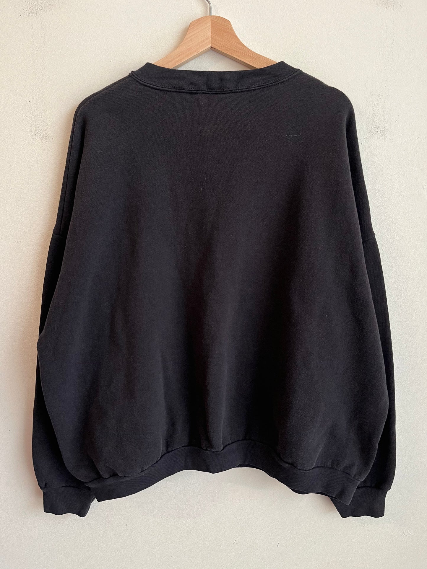 00s Carolina Panthers Boxy South Division Crewneck (XXL)