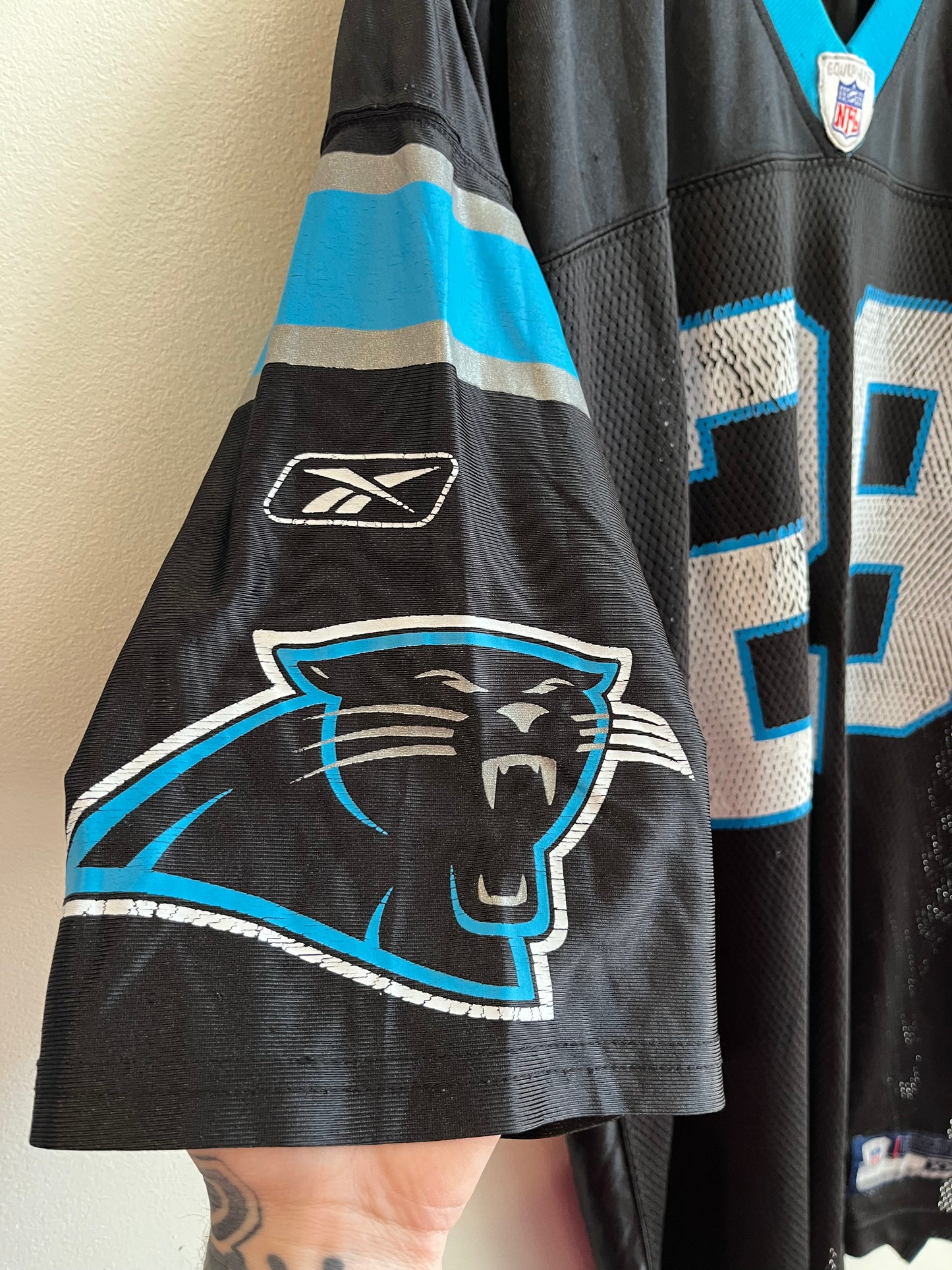 00s Carolina Panthers Jonathan Stewart Cracked Jersey (XXL)