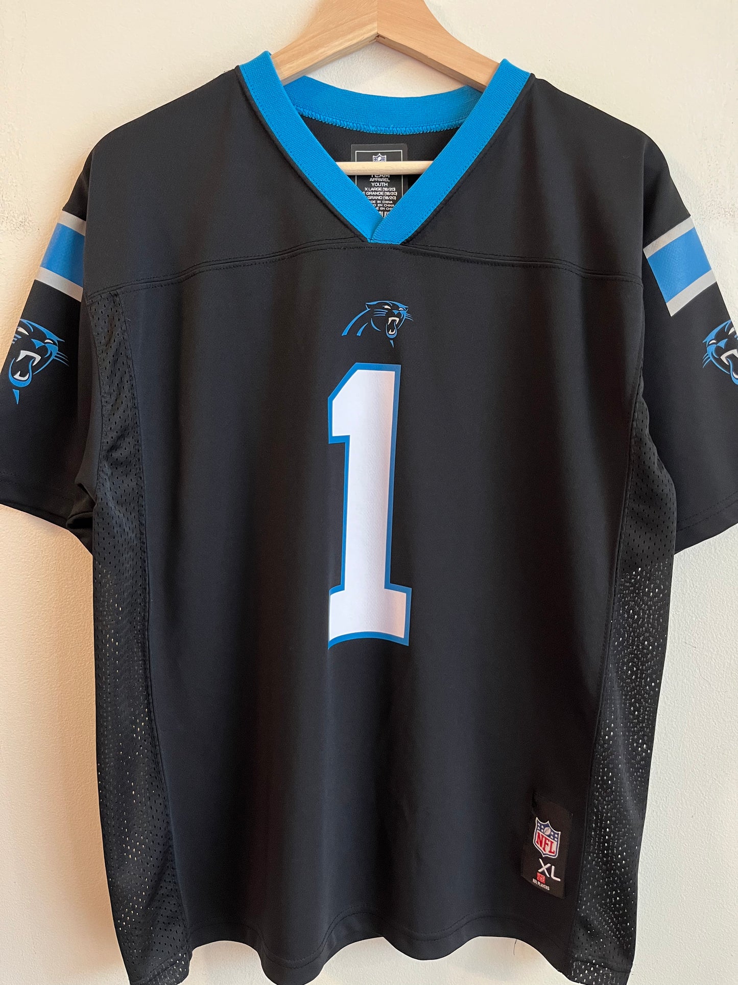 2010s Carolina Panthers Cam Newton NFL Players Jersey (Youth XL)