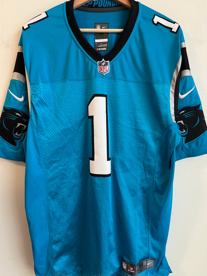 2017 Carolina Panthers Cam Newton Nike Stitched Blue Jersey (M)