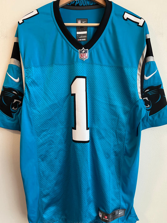 2017 Carolina Panthers Cam Newton Nike Stitched Blue Jersey (M)