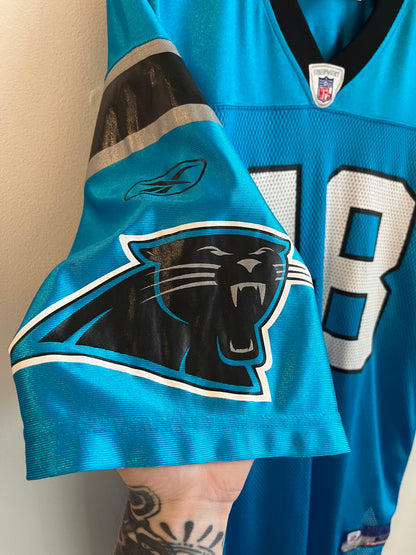 00s Carolina Panthers Stephen Davis Blue Reebok Jersey