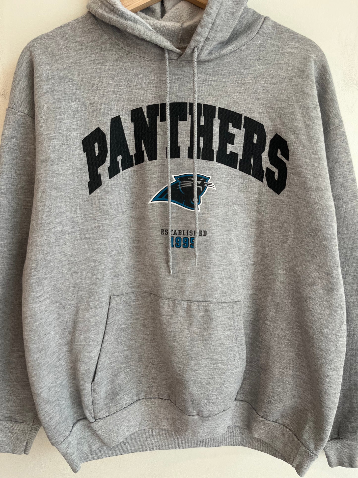 2004 Carolina Panthers Grey Spell Out NFL Hoodie (L)