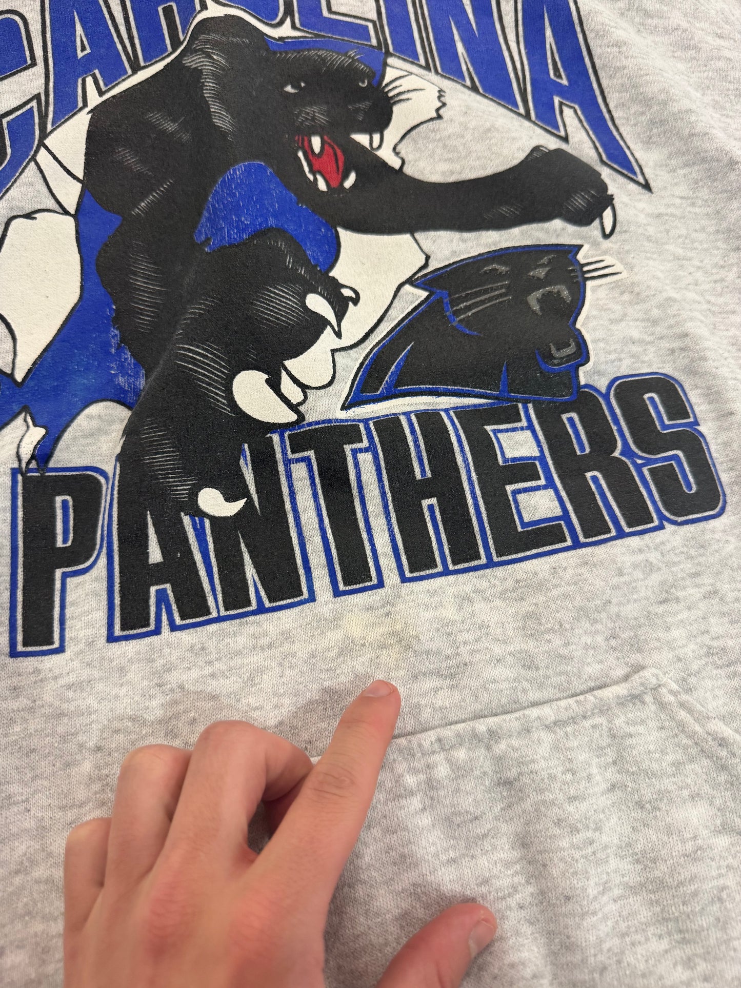 90s Carolina Panthers Breakthrough Front/Back Graphic Bootleg Hoodie (XXL)