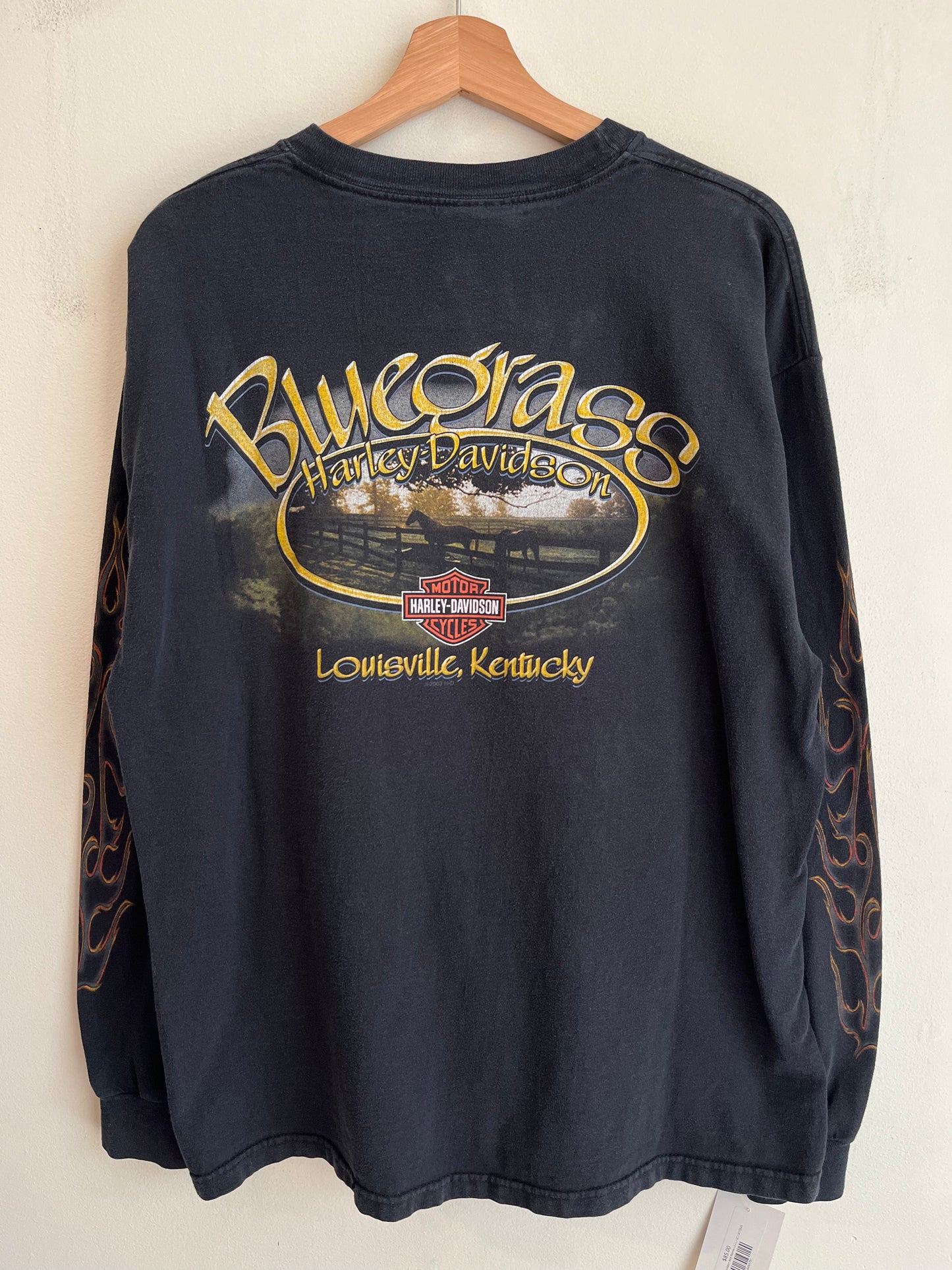 2006 Harley Davidson Louisville, Kentucky Flames Long Sleeve Shirt (L)
