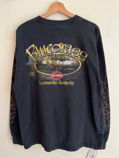 2006 Harley Davidson Louisville, Kentucky Flames Long Sleeve Shirt (L)