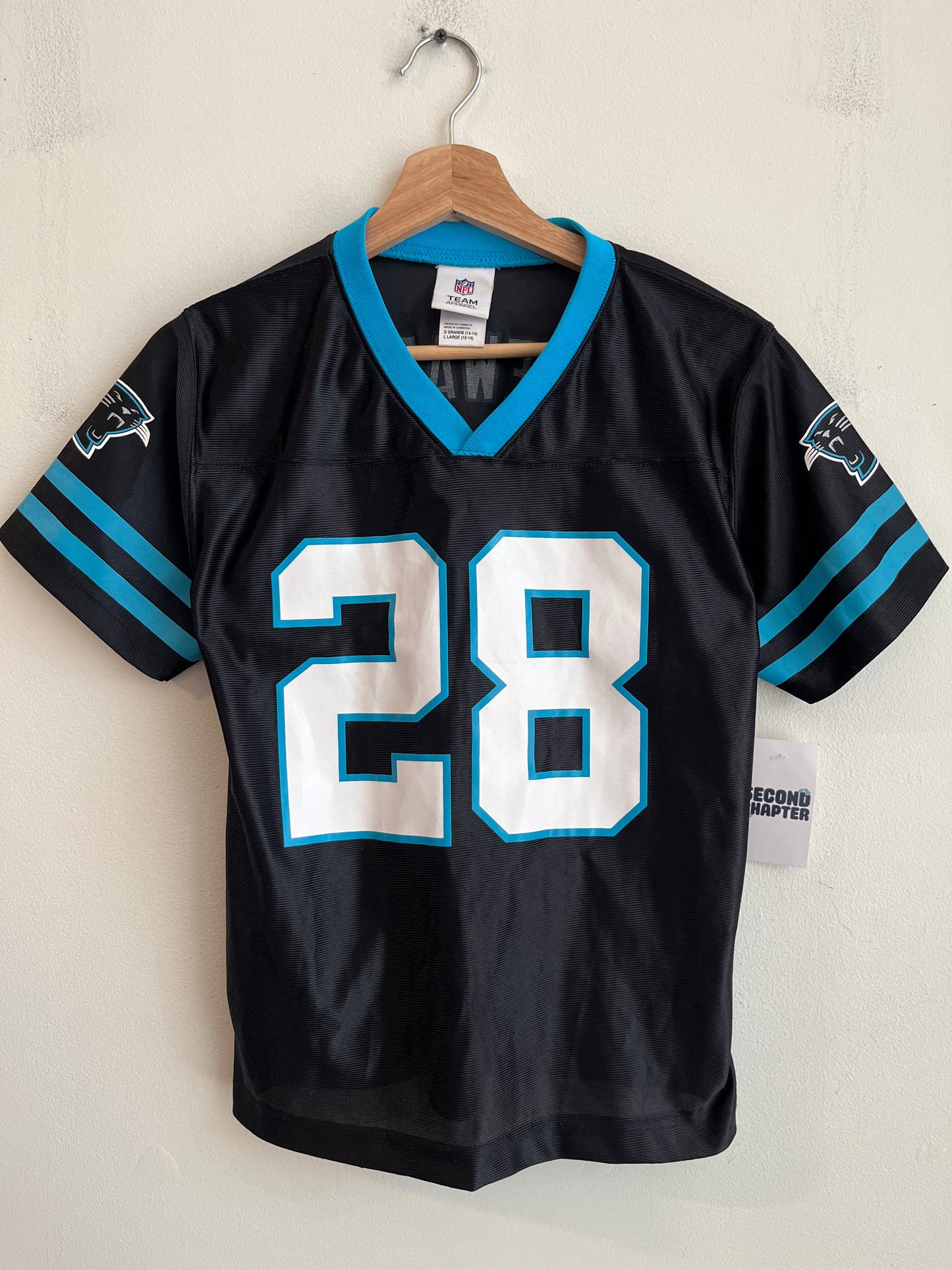 00s Carolina Panthers Jonathan Stewart Team Apparel Jersey (Youth L)