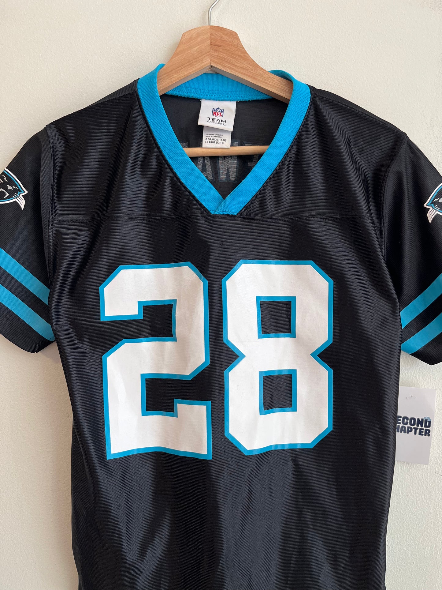 00s Carolina Panthers Jonathan Stewart Team Apparel Jersey (Youth L)