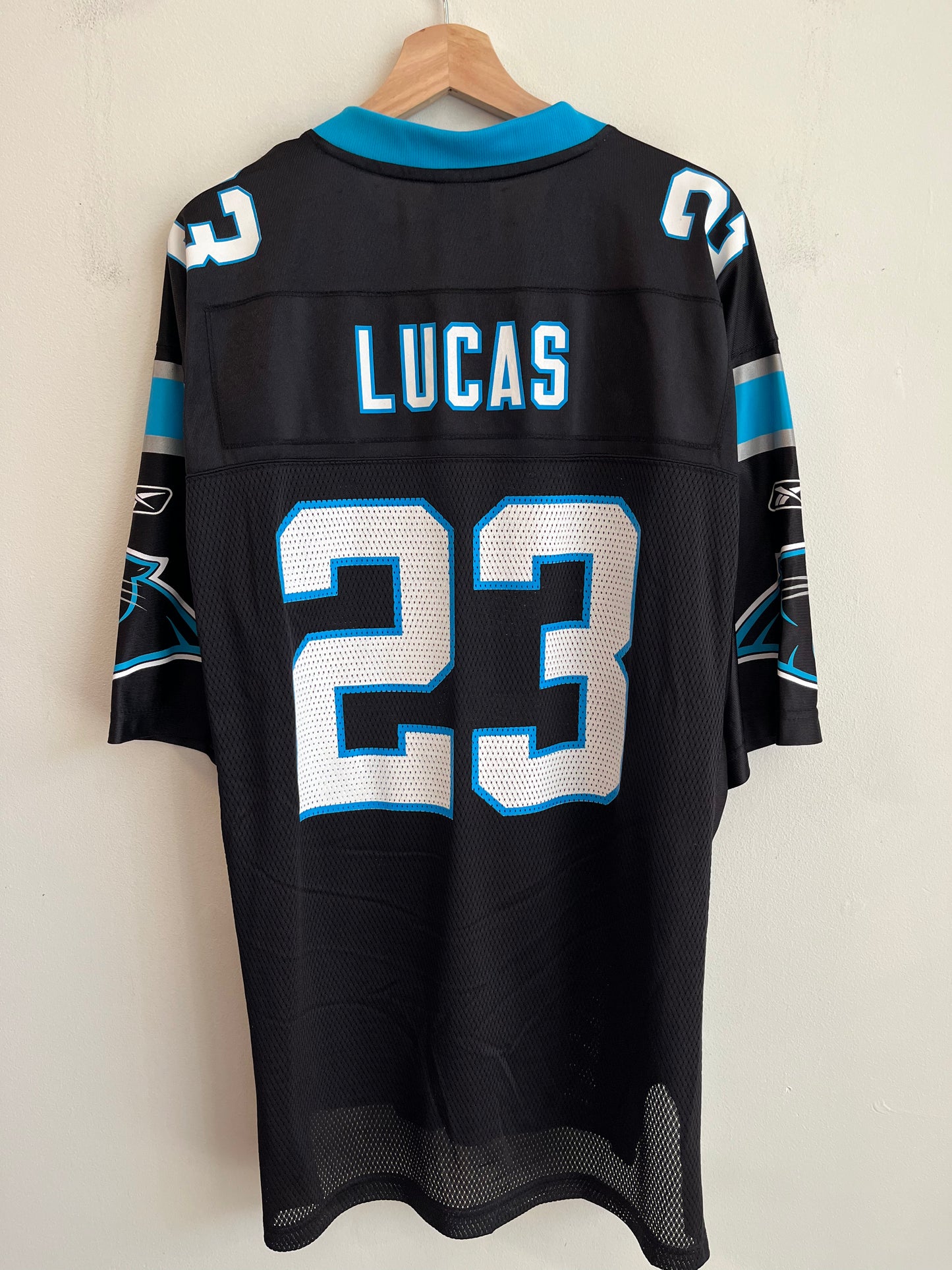 00s Carolina Panthers Ken Lucas Reebok Home Jersey (L)
