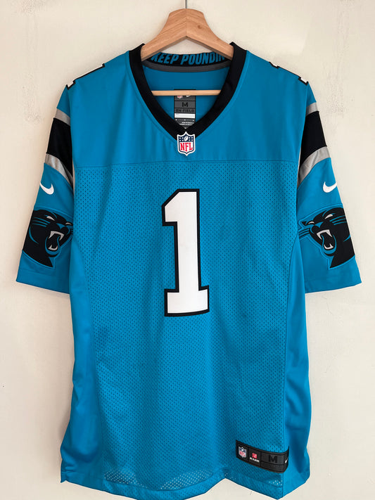 2016 Carolina Panthers Cam Newton Nike Blue Stitched Jersey (M)