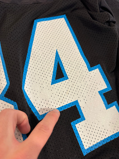 00s Carolina Panthers DeAngelo Williams NFL Players Home Jersey (M)